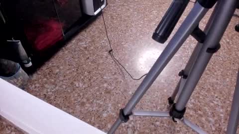 Snapshot of sara_salgado chatting on February 23, 2026, 11:07 am sara_salgado online show from February 23, 2026, 11:07 am