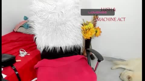 Sarah online show from May 15, 2026, 5:42 pm