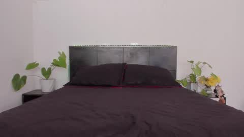 Girl next door online show from January 13, 2025, 8:37 pm