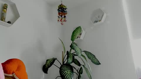 Saray  online show from February 2, 2026, 9:24 pm