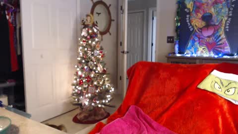 Snapshot of sassybeaver chatting on January 1, 2025, 7:41 am Trish online show from January 1, 2025, 7:41 am