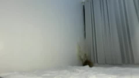 sassykayla online show from May 15, 2026, 1:07 pm