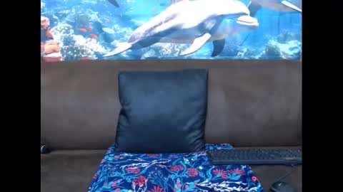 Snapshot of sasyylissaa chatting on March 3, 2025, 7:39 pm sasyylissaa online show from March 3, 2025, 7:39 pm