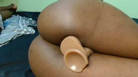 pety online show from June 18, 2026, 5:51 am