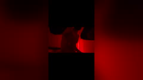 Snapshot of sbsesh chatting on February 14, 2026, 12:02 pm sbsesh online show from February 14, 2026, 12:02 pm