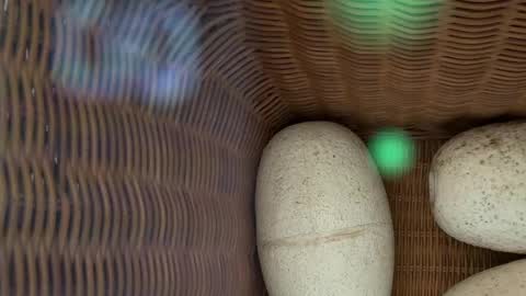 Snapshot of scarlajade chatting on May 15, 2026, 2:51 am scarlajade online show from May 15, 2026, 2:51 am