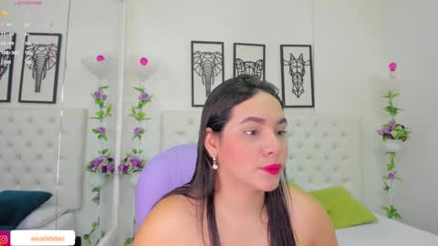 Snapshot of scarlet_stan22 chatting on December 14, 2024, 11:07 am Isa online show from December 14, 2024, 11:07 am