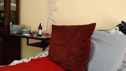 Snapshot of scarlettford chatting on January 8, 2025, 4:00 pm Scarlett online show from January 8, 2025, 4:00 pm