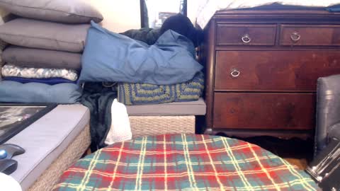 Scarlotta online show from February 8, 2025, 9:36 pm