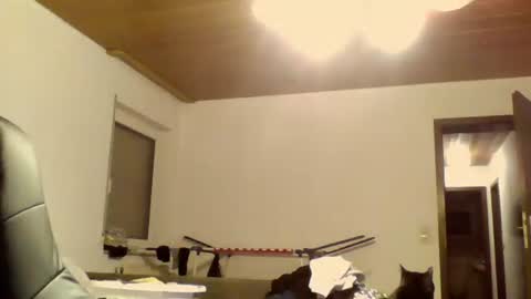 schnibschnab online show from October 9, 2025, 11:47 pm