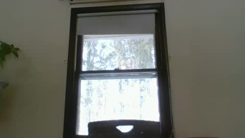 scottpbi52 online show from February 19, 2025, 3:16 pm