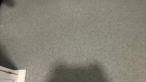 scottyc48 online show from December 17, 2025, 11:05 am