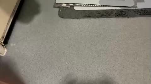 scottyc48 online show from December 19, 2025, 7:48 am