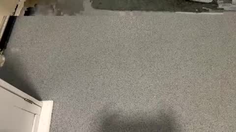 scottyc48 online show from January 6, 2026, 1:48 pm