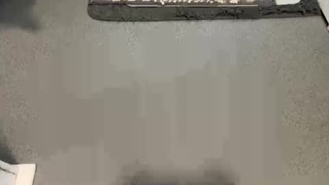 scottyc48 online show from February 14, 2026, 9:50 am