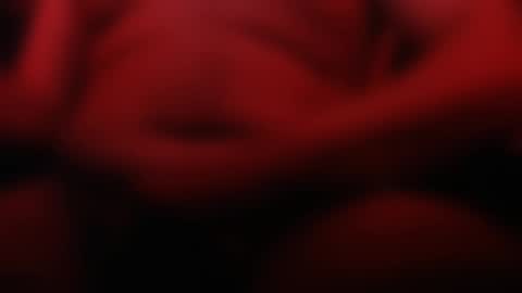 Apple online show from March 9, 2025, 2:50 am