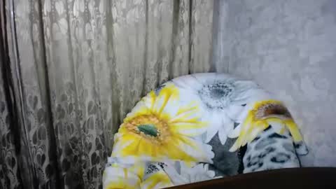 secretcandy222 online show from March 1, 2025, 2:44 pm