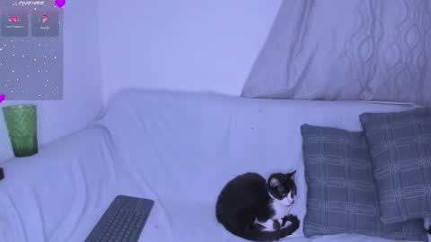 Selene Noire online show from July 27, 2026, 11:23 pm