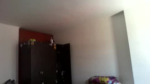 semental24cm online show from December 17, 2025, 1:39 pm