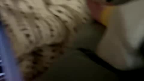 senecathestoic25 online show from February 9, 2026, 3:54 am