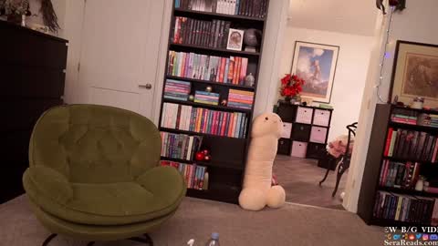 Snapshot of serareads chatting on January 6, 2025, 7:42 am SeraReads online show from January 6, 2025, 7:42 am