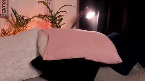 Snapshot of serenity_day chatting on January 29, 2025, 11:14 pm Serenity online show from January 29, 2025, 11:14 pm