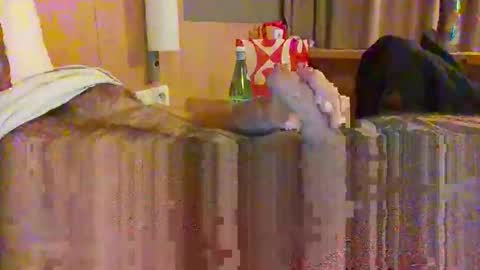 Snapshot of serialfucka69 chatting on October 27, 2025, 6:56 pm serialfucka69 online show from October 27, 2025, 6:56 pm