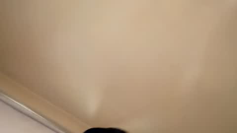 sethandrah_n_crazyeyes online show from July 27, 2026, 12:45 pm