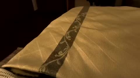 sevenorder online show from January 21, 2025, 6:43 am