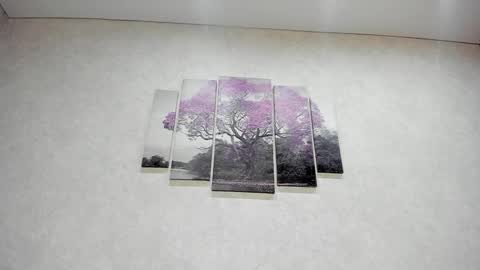 Xenia online show from January 10, 2025, 2:34 pm