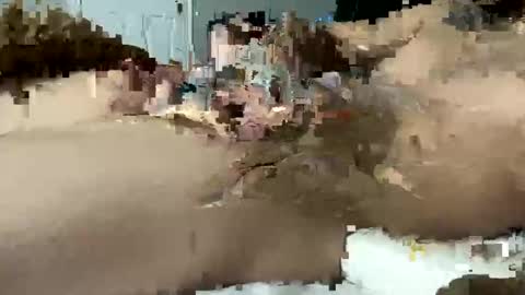 seximexibbc online show from January 11, 2025, 6:35 am