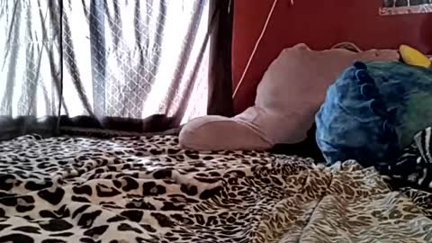 Snapshot of sexiwhiskey699 chatting on February 21, 2026, 10:33 pm sexiwhiskey699 online show from February 21, 2026, 10:33 pm