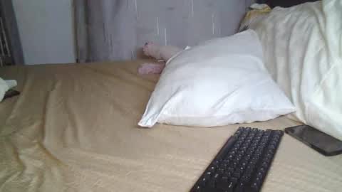 Snapshot of sexxybooty254 chatting on May 6, 2026, 9:36 am sexxybooty254 online show from May 6, 2026, 9:36 am