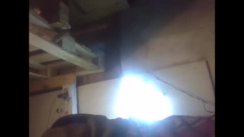 Snapshot of sexy15802 chatting on December 21, 2024, 2:04 pm sexy15802 online show from December 21, 2024, 2:04 pm