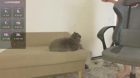 sexy_b0rsch online show from April 18, 2026, 5:22 am