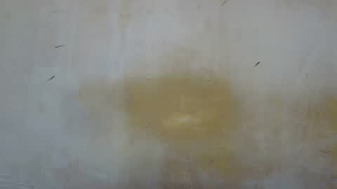 sexy_candy9 online show from November 12, 2025, 8:59 am