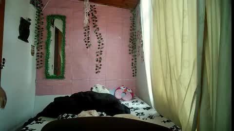 sexy lolas online show from February 21, 2026, 9:49 pm