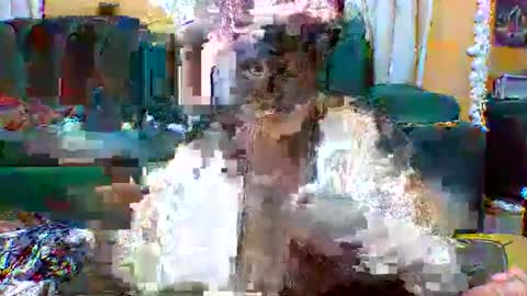 sexylo52 online show from May 13, 2026, 11:07 am