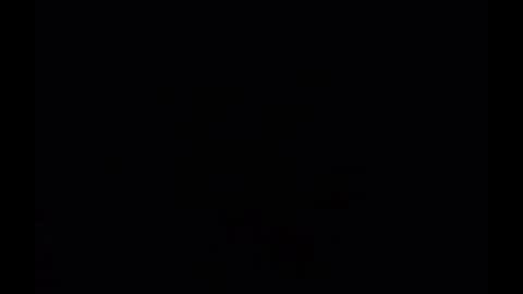 In the night in South America online show from December 24, 2024, 1:06 pm