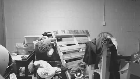 sexyshavenboi online show from January 17, 2026, 12:54 pm