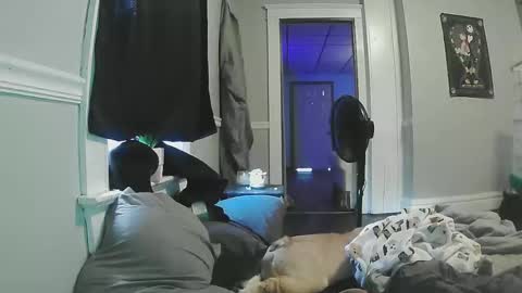 sexystripper69 online show from May 11, 2026, 9:12 pm