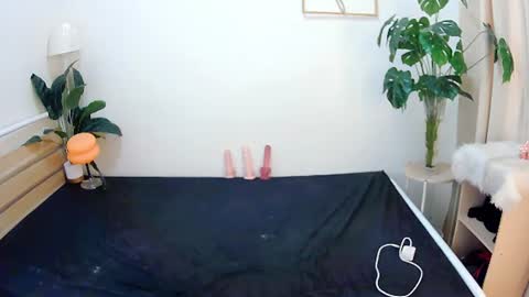 sexytrixie11 online show from June 22, 2026, 3:47 am