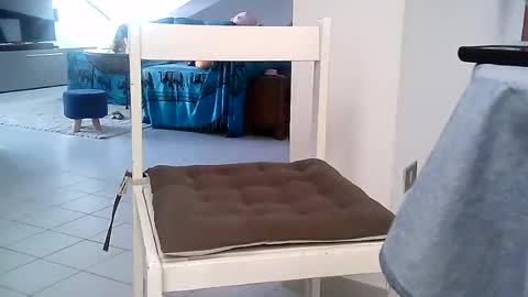sexzob_81 online show from July 28, 2026, 5:25 am