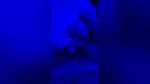 Snapshot of sh591012 chatting on July 30, 2026, 6:45 am sh591012 online show from July 30, 2026, 6:45 am