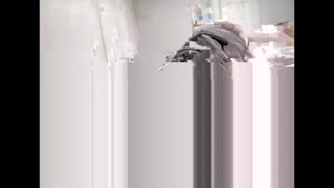 Snapshot of shagnasty95 chatting on April 9, 2026, 1:27 am shagnasty95 online show from April 9, 2026, 1:27 am