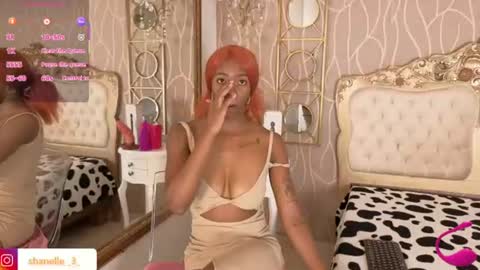 S H A N E L L E   online show from June 13, 2026, 2:04 pm