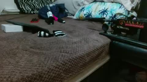 Snapshot of sharlot03 chatting on February 12, 2025, 10:56 am sharlot03 online show from February 12, 2025, 10:56 am