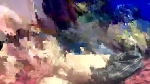 Snapshot of sharoc666 chatting on March 22, 2026, 12:58 am Shamroc online show from March 22, 2026, 12:58 am