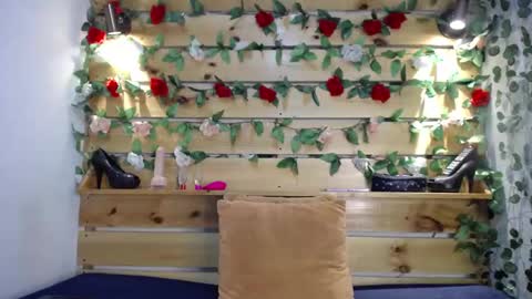 Snapshot of sharol_heart_ chatting on February 14, 2025, 3:00 am Sharol online show from February 14, 2025, 3:00 am