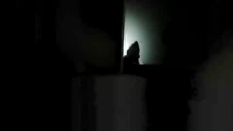 shaunhosking3 online show from December 20, 2025, 4:47 pm